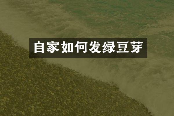自家如何发绿豆芽