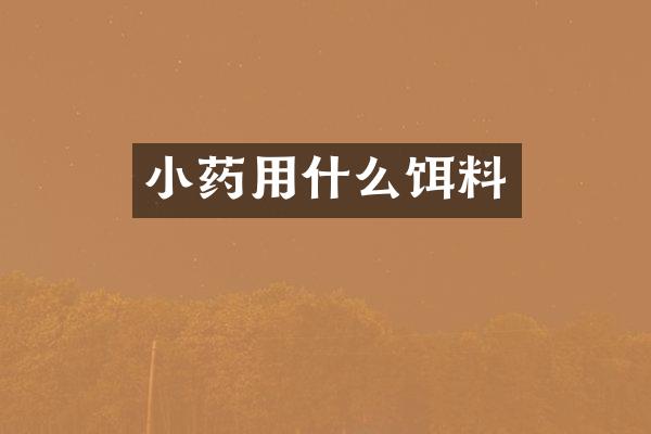 小药用什么饵料