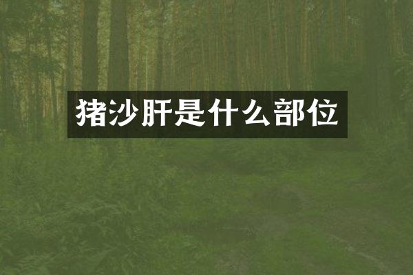 猪沙肝是什么部位