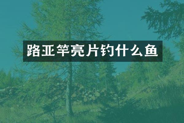 路亚竿亮片钓什么鱼