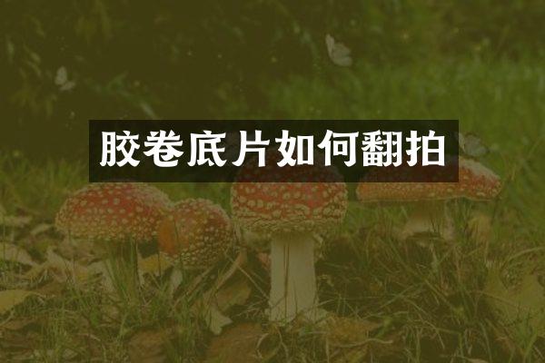 胶卷底片如何翻拍