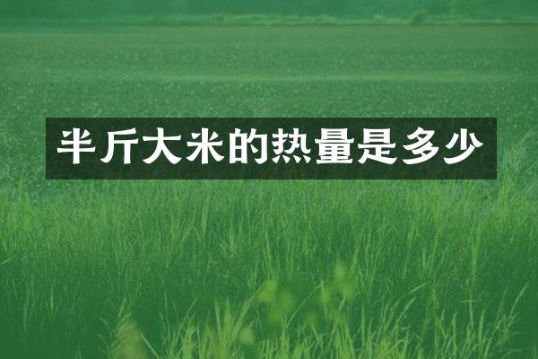 半斤大米的热量是多少