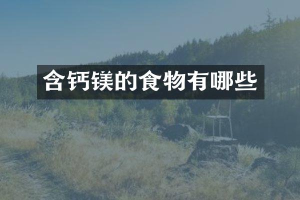 含钙镁的食物有哪些