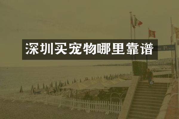 深圳买宠物哪里靠谱