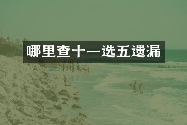 哪里查十一选五遗漏
