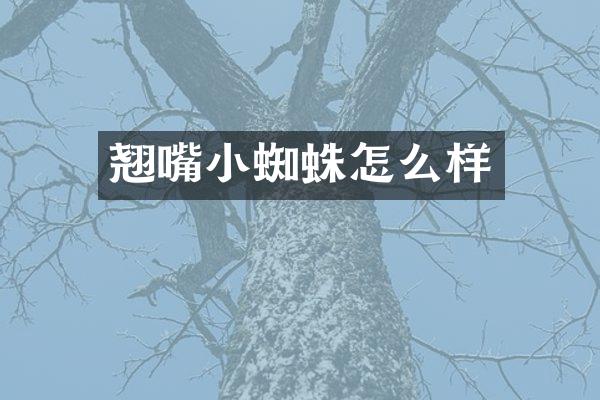 翘嘴小蜘蛛怎么样
