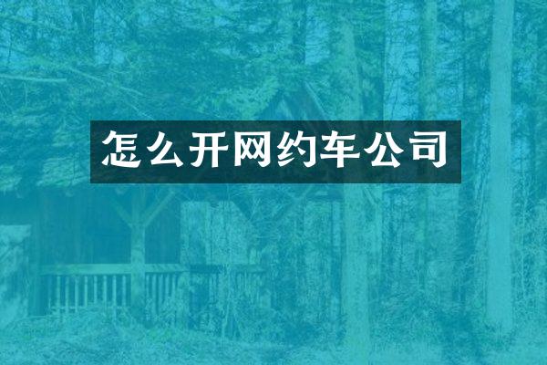 怎么开网约车公司