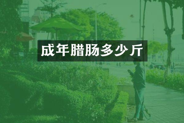 成年腊肠多少斤