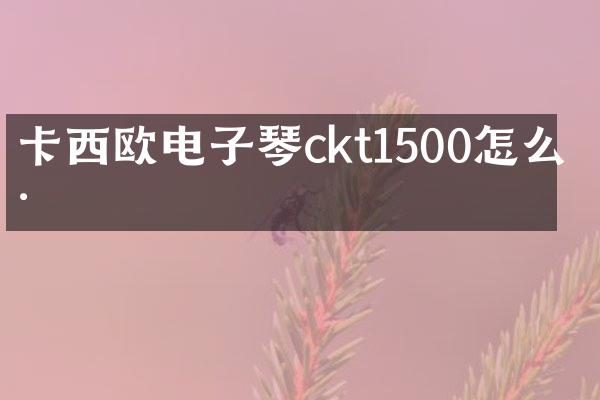 卡西欧电子琴ckt1500怎么样