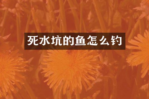 死水坑的鱼怎么钓