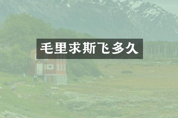 毛里求斯飞多久