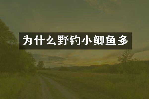 为什么野钓小鲫鱼多