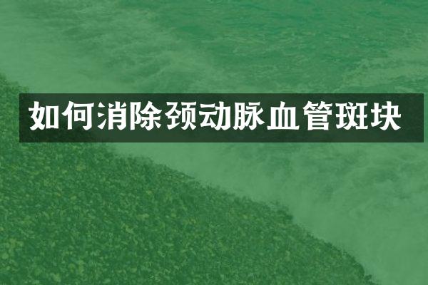 如何消除颈动脉血管斑块