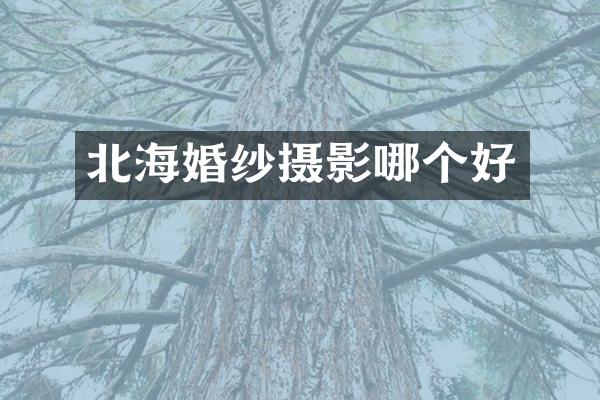 北海婚纱摄影哪个好