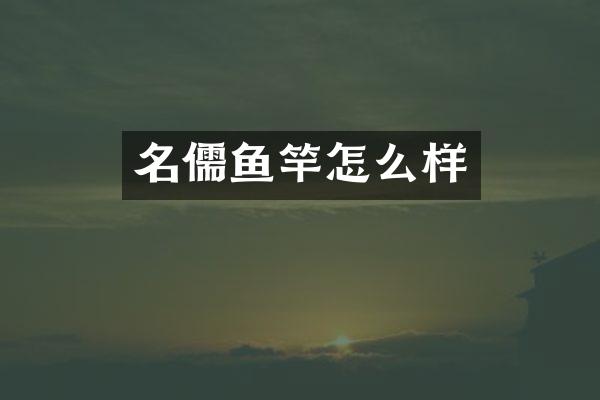 名儒鱼竿怎么样