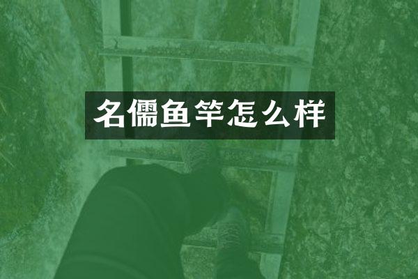 名儒鱼竿怎么样