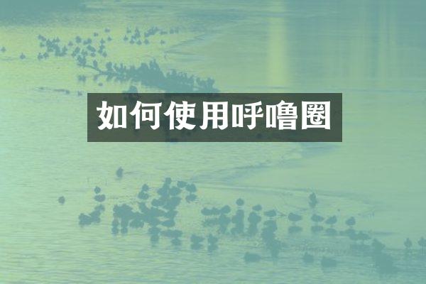 如何使用呼噜圈