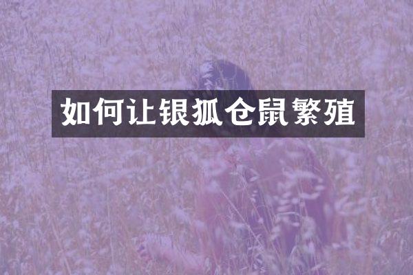 如何让银狐仓鼠繁殖