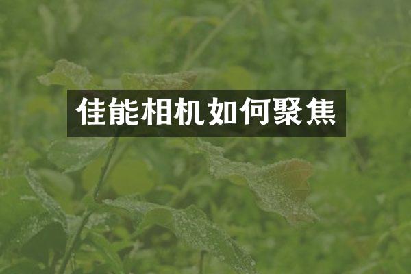 佳能相机如何聚焦