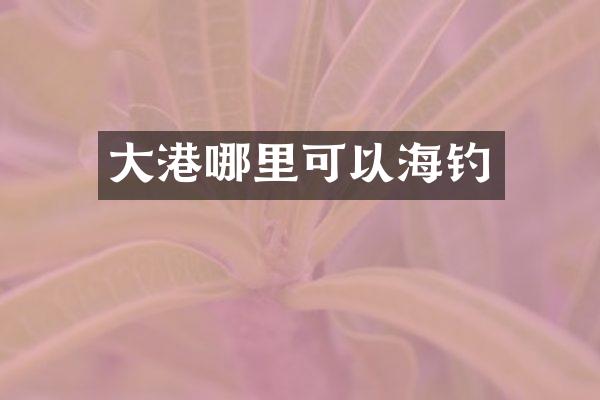 大港哪里可以海钓