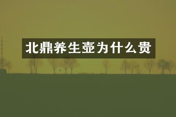 北鼎养生壶为什么贵