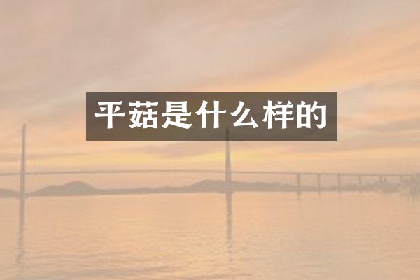平菇是什么样的