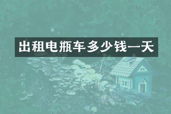 出租电瓶车多少钱一天