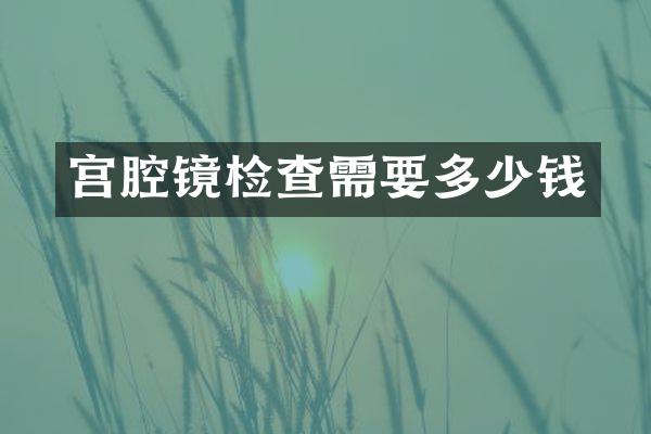 宫腔镜检查需要多少钱