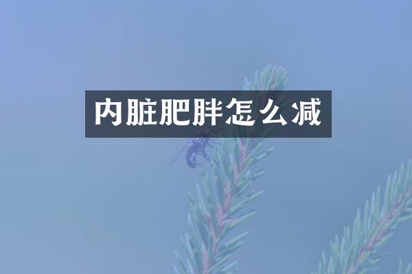 内脏肥胖怎么减