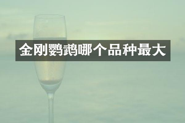 金刚鹦鹉哪个品种最大