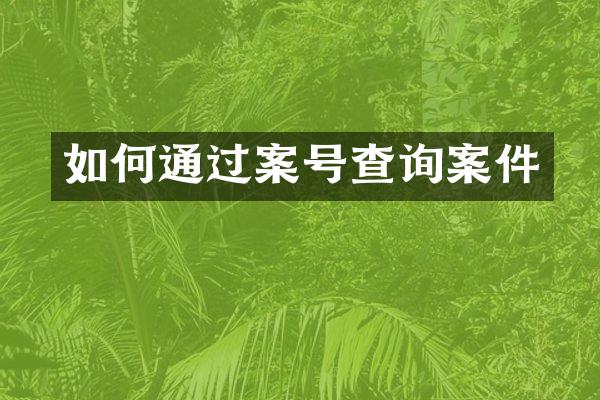 如何通过案号查询案件