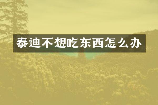 泰迪不想吃东西怎么办