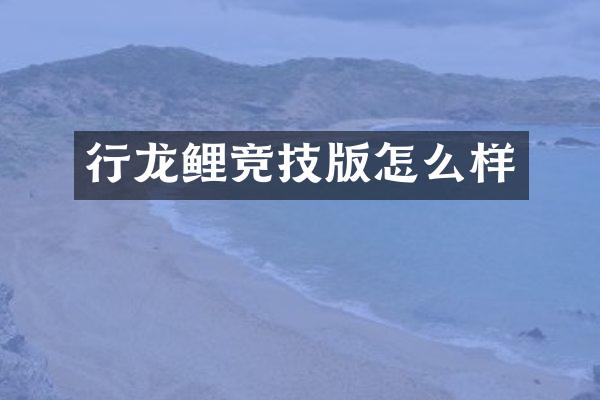 行龙鲤竞技版怎么样