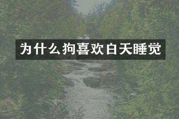 为什么狗喜欢白天睡觉