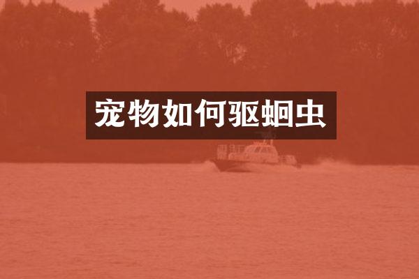 宠物如何驱蛔虫