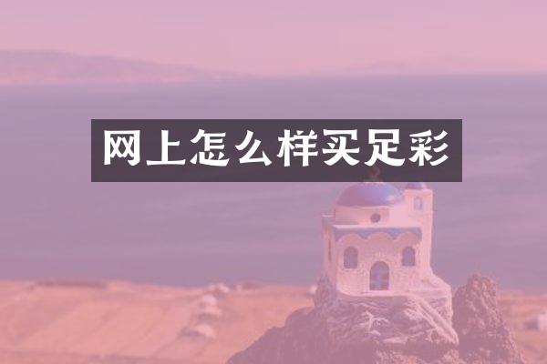 网上怎么样买足彩