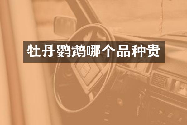 牡丹鹦鹉哪个品种贵