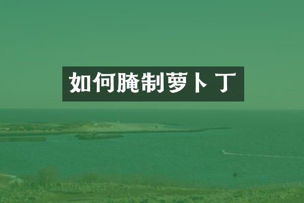 如何腌制萝卜丁