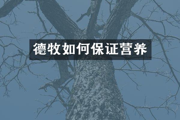 德牧如何保证营养