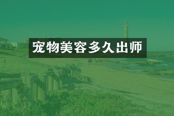 宠物美容多久出师