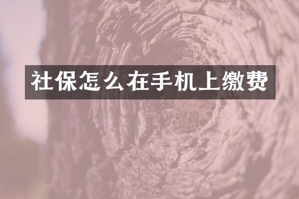 社保怎么在手机上缴费