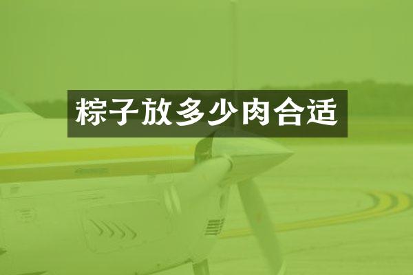 粽子放多少肉合适