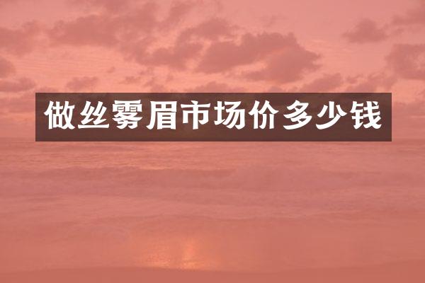做丝雾眉市场价多少钱