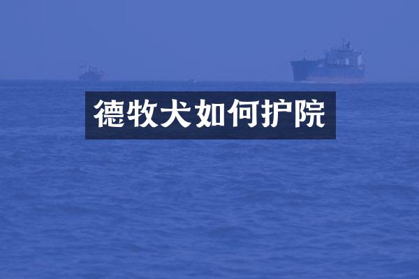 德牧犬如何护院