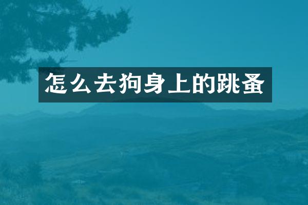 怎么去狗身上的跳蚤