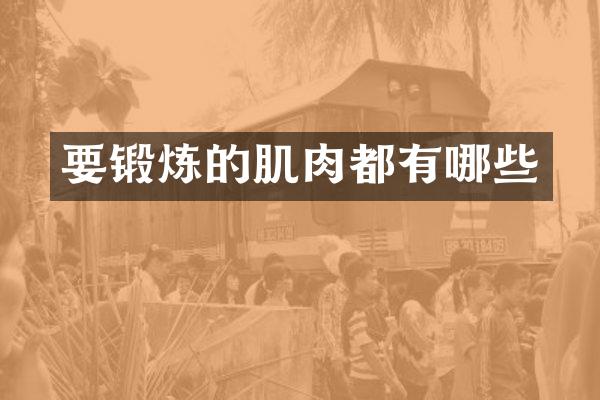 要锻炼的肌肉都有哪些