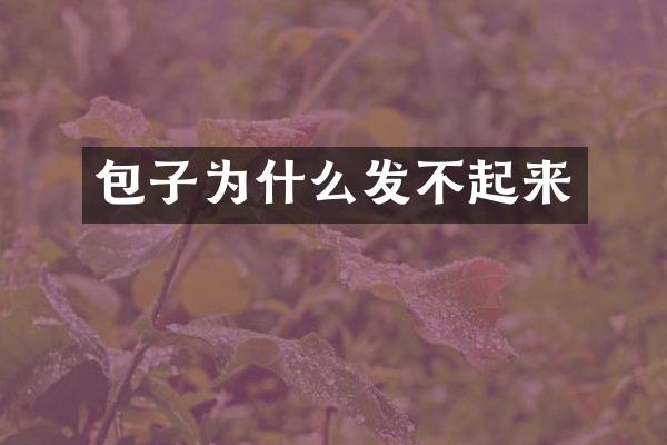 包子为什么发不起来
