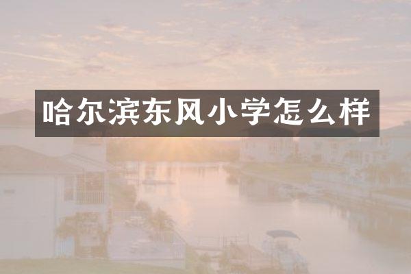 哈尔滨东风小学怎么样