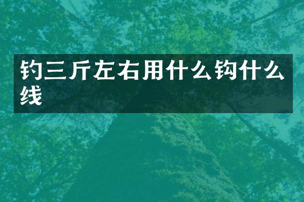 钓三斤左右用什么钩什么线