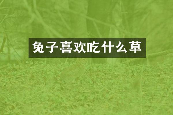 兔子喜欢吃什么草
